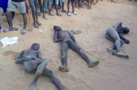 Togo: 3 jeunes voleurs presque mourants retrouvés tôt ce samedi à Amadenta